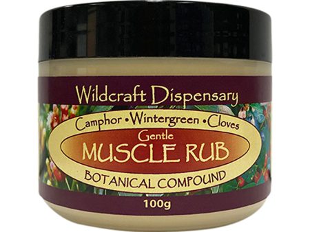 Wildcraft Dispensary Gentle Muscle Rub Natural Ointment 100g For Discount