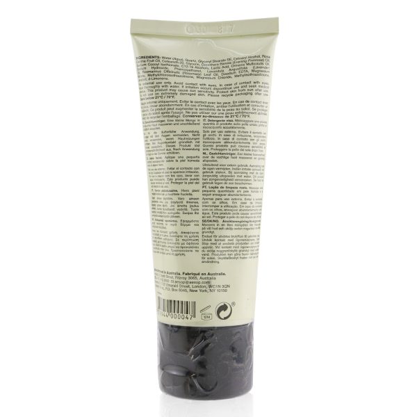 Aesop Purifying Facial Exfoliant Paste (Tube)  75ml 2.91oz Hot on Sale