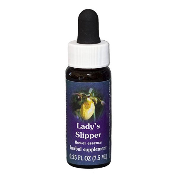 Fes Flower Essences FES Quintessentials Lady s Slipper 7.5ml Online now