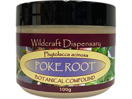 Wildcraft Dispensary Poke Root Natural Ointment 100g on Sale