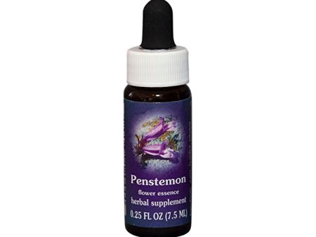 Fes Flower Essences FES Quintessentials Penstemon 7.5ml on Sale