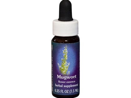 Fes Flower Essences FES Quintessentials Mugwort 7.5ml Sale