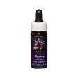 Fes Flower Essences FES Quintessentials (Range Of Light) Hyssop 7.5ml For Sale