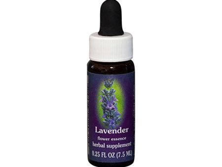 Fes Flower Essences FES Quintessentials Lavender 7.5ml Supply