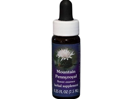 Fes Flower Essences FES Quintessentials Mountain Pennyroyal 7.5ml Discount