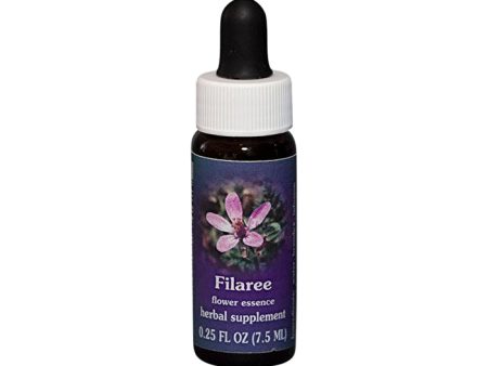 Fes Flower Essences FES Quintessentials Filaree 7.5ml Hot on Sale