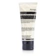 Aesop Purifying Facial Exfoliant Paste (Tube)  75ml 2.91oz Hot on Sale