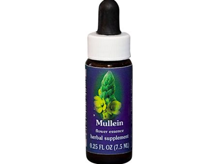 Fes Flower Essences FES Quintessentials Mullein 7.5ml Online now