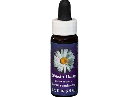 Fes Flower Essences FES Quintessentials Shasta Daisy 7.5ml Online now