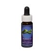 Fes Flower Essences FES Quintessentials (Range Of Light) Redwood 7.5ml Online