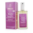 Weleda Wild Rose Deodorant 100ml 3.4oz Sale