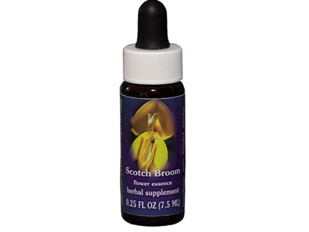 Fes Flower Essences FES Quintessentials Scotch Broom 7.5ml Hot on Sale