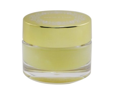 Winky Lux Lip Sleeping Mask  10g 0.35oz Online now