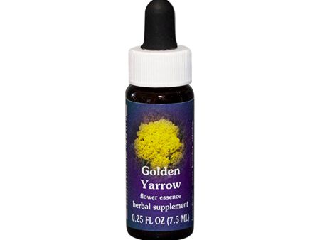 Fes Flower Essences FES Quintessentials Golden Yarrow 7.5ml Fashion