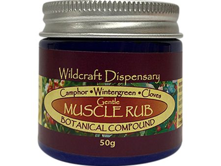 Wildcraft Dispensary Gentle Muscle Rub Natural Ointment 50g For Cheap