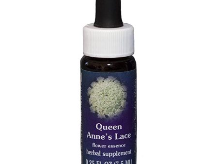 Fes Flower Essences FES Quintessentials Queen Anne s Lace 7.5ml Cheap