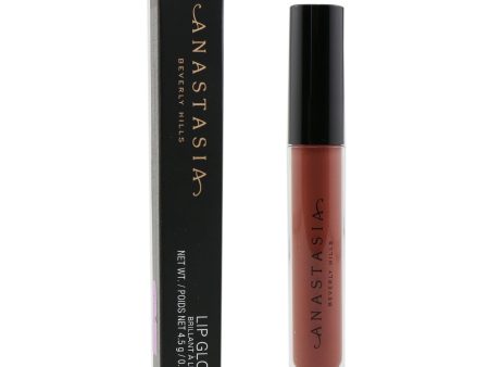 Anastasia Beverly Hills Lip Gloss - # Warm Bronze  4.5g 0.16oz For Sale