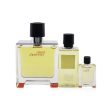 Hermes Terre D Hermes Coffret: Pure Parfum Spray 75ml 2.53oz + Hair & Body Shower Gel 40ml 1.35oz + Pure Parfum Spray 5ml 0.17oz  3pcs Online Sale